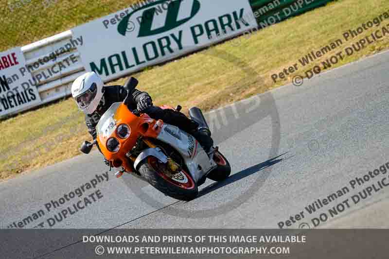 Vintage motorcycle club;eventdigitalimages;mallory park;mallory park trackday photographs;no limits trackdays;peter wileman photography;trackday digital images;trackday photos;vmcc festival 1000 bikes photographs